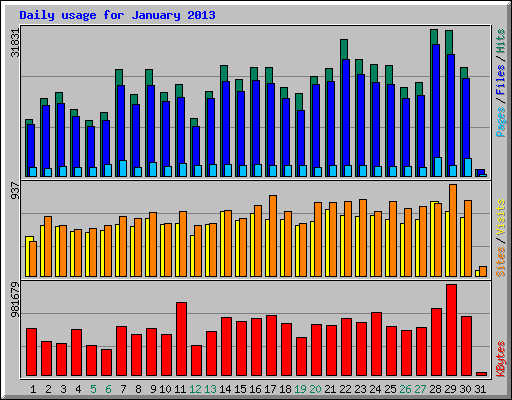 Daily usage for January 2013
