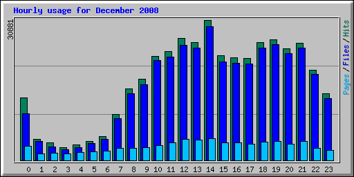 Hourly usage for December 2008