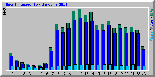 Hourly usage for January 2013
